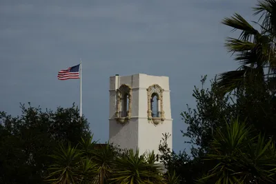 DSC_2473 (Large).JPG